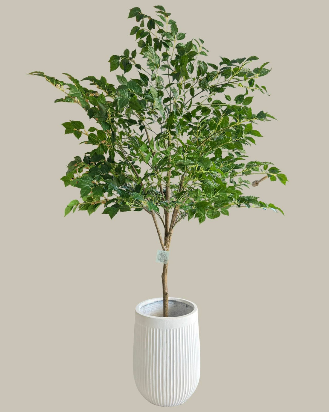 Faux Banyan Tree 170CM