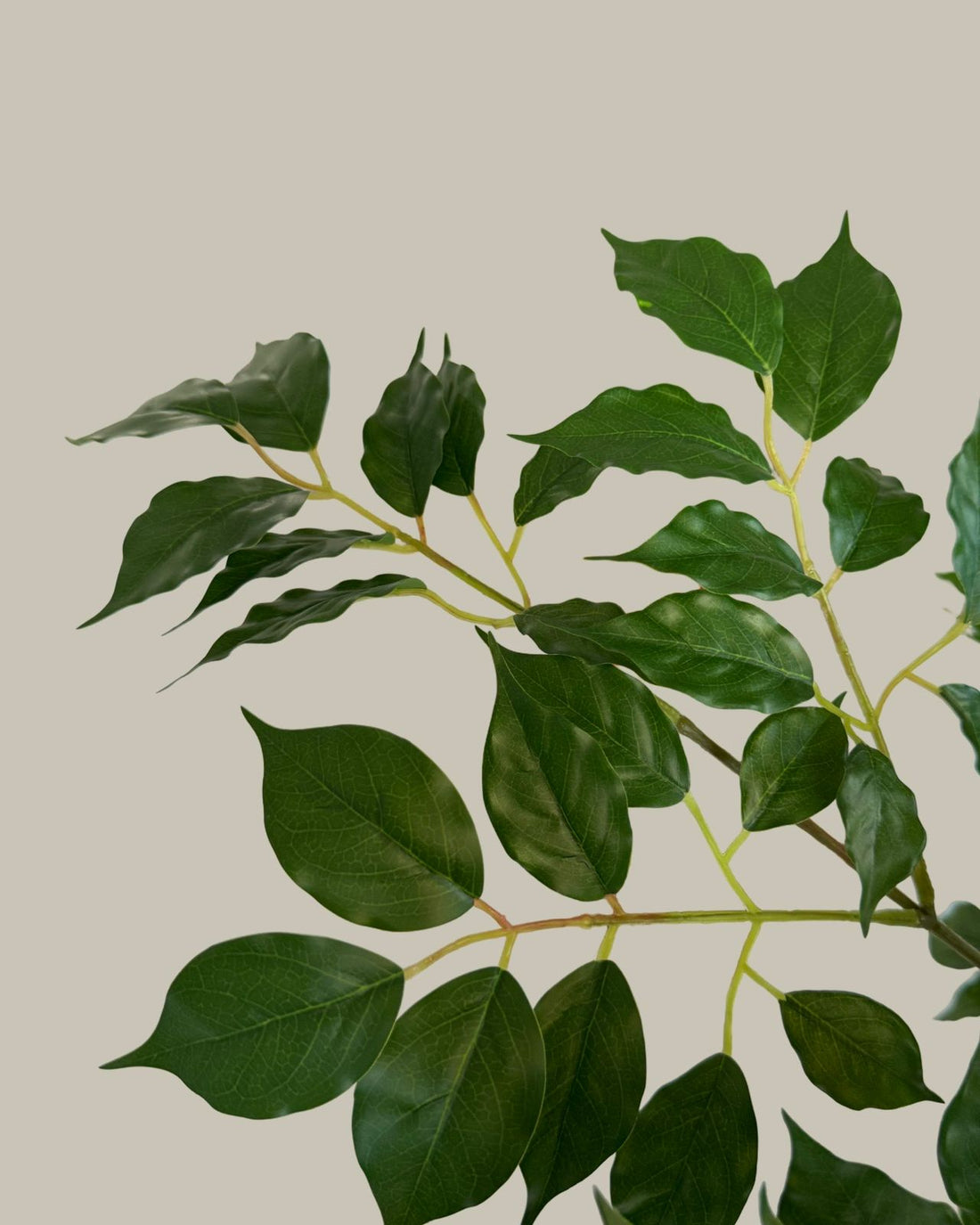 Faux Banyan Tree 170CM
