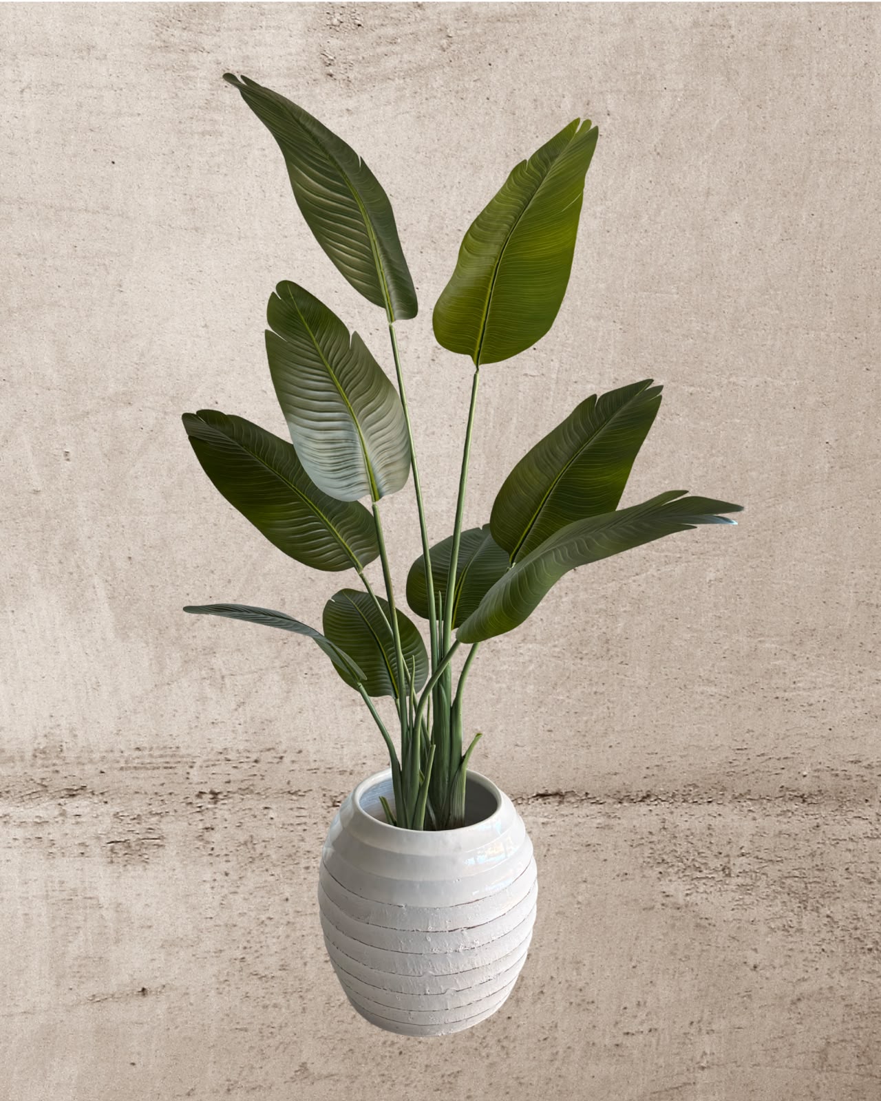 Faux Bird of Paradise Plant 160CM