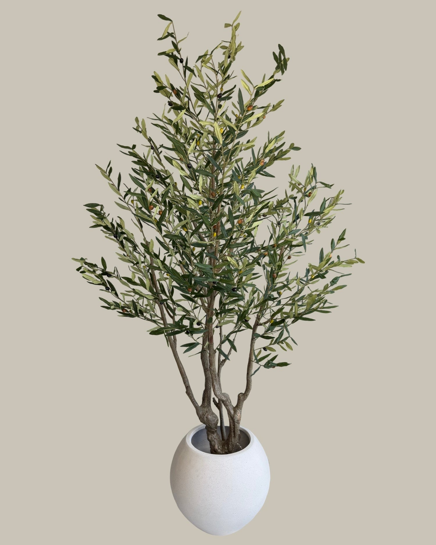 Faux Luxe Olive Tree 220CM