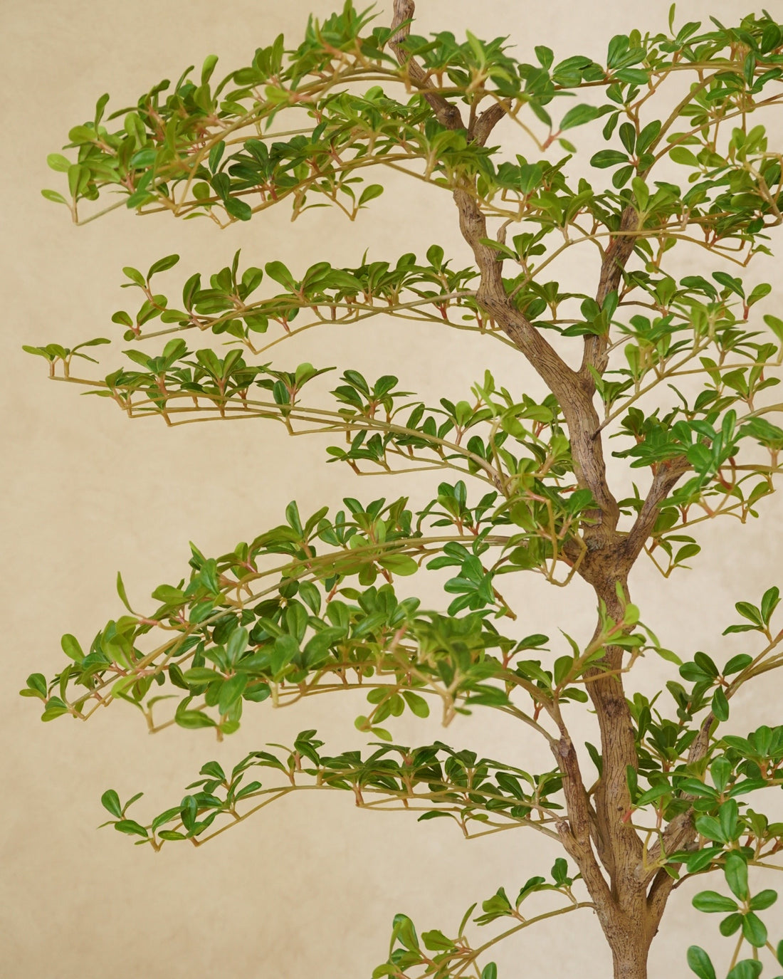 Faux Shady Lady Olive Tree 180CM