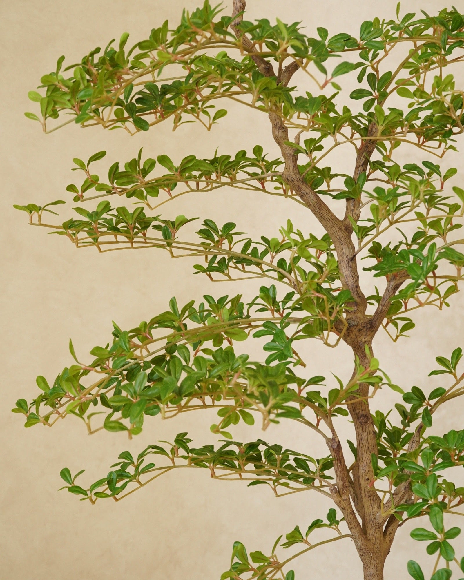 Faux Shady Lady Olive Tree 180CM – detail