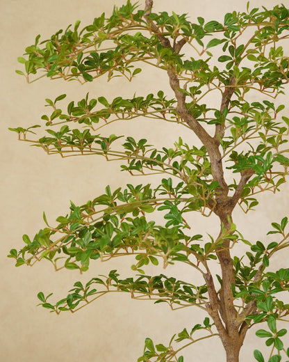 Faux Shady Lady Olive Tree 180CM – detail