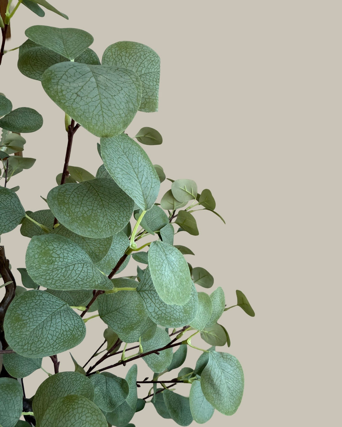 Faux Potted Eucalyptus Tree 180CM
