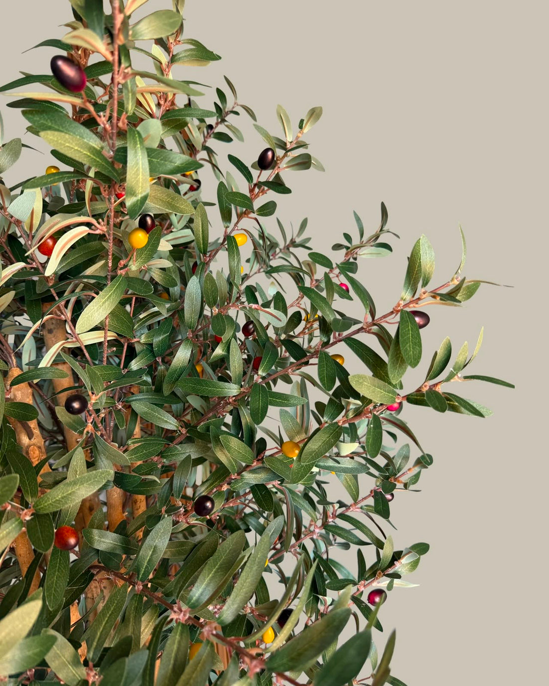 Faux Lush Olive Tree with Real Wood Trunks 150CM
