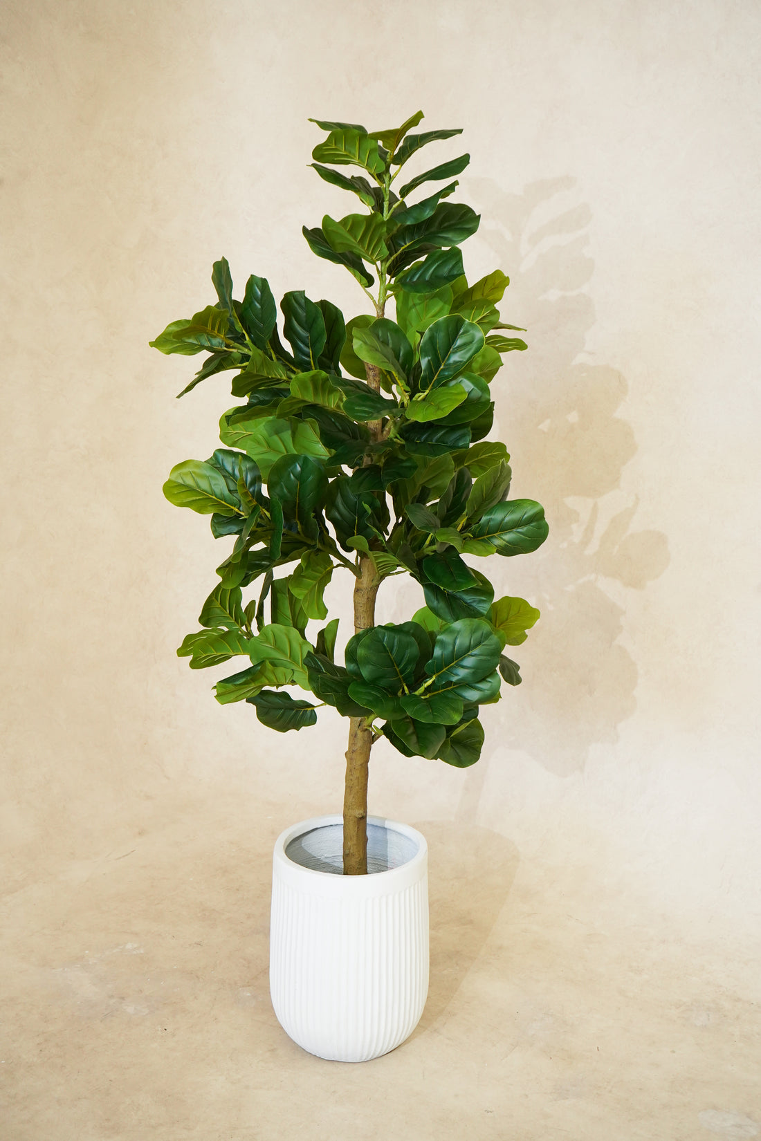 Faux Potted Fiddle Fig Leaf Tree 180CM