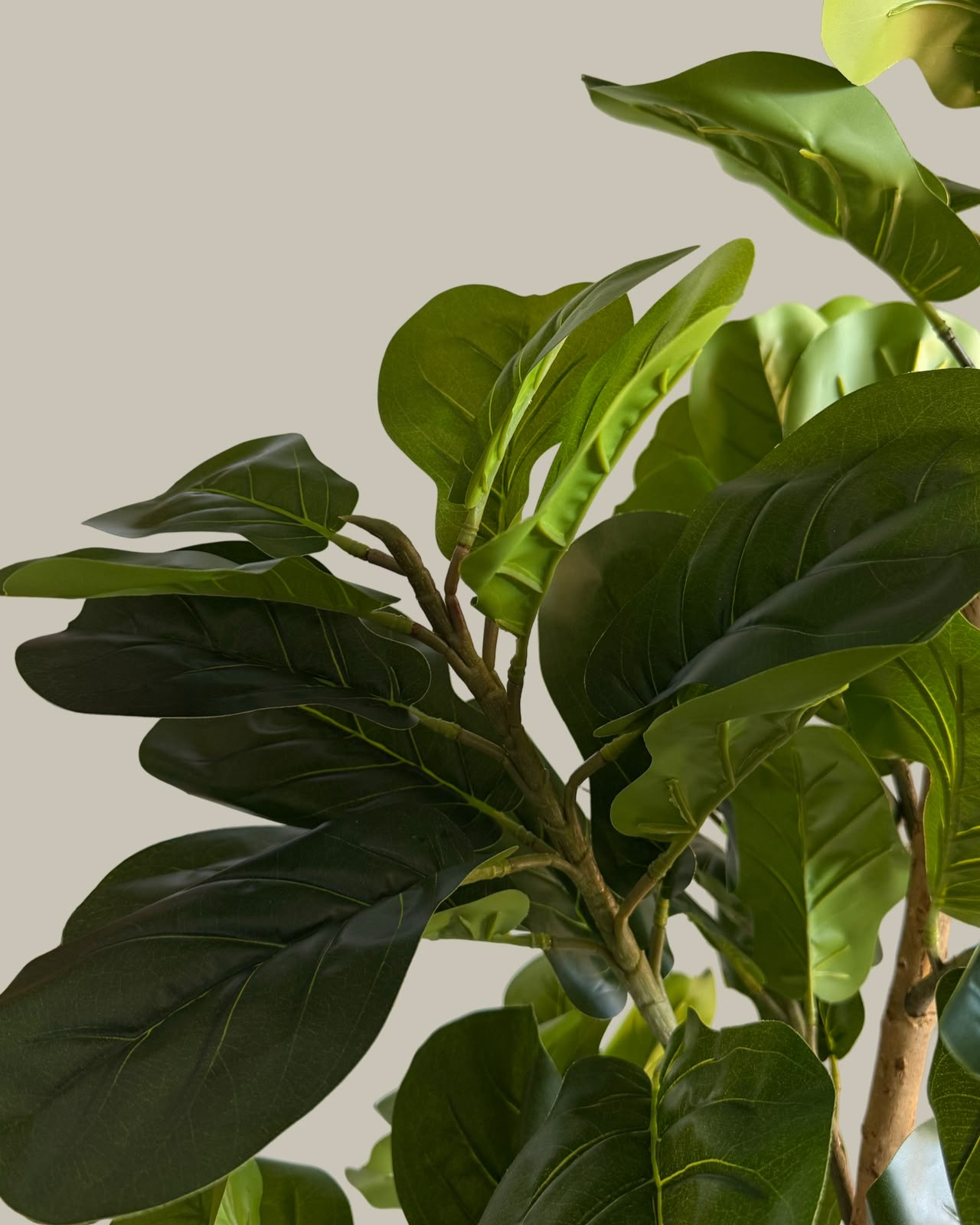 Faux Fiddle Leaf Fig Tree with Real Wood Trunk 180CM