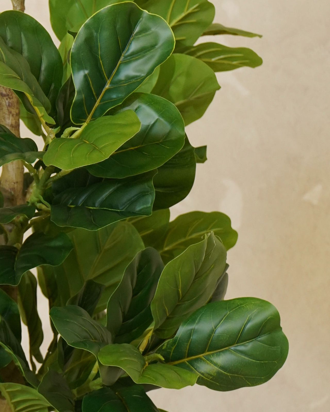 Faux Potted Fiddle Fig Leaf Tree 180CM