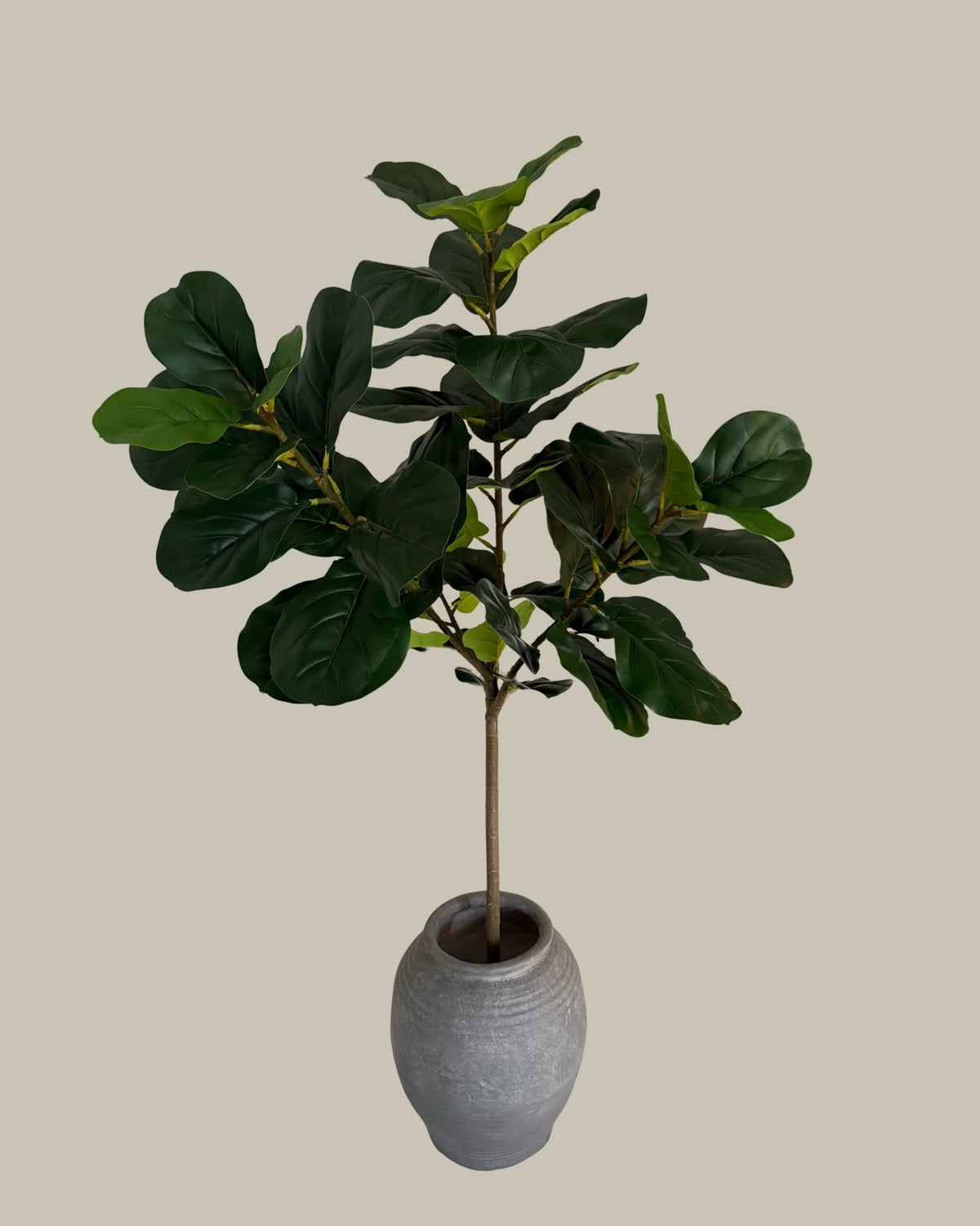 Artificial Fiddle Fig Leaf Tree 150CM