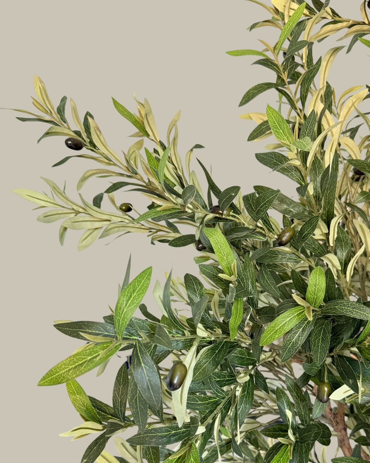 Faux Mature Olive Tree 2.4M