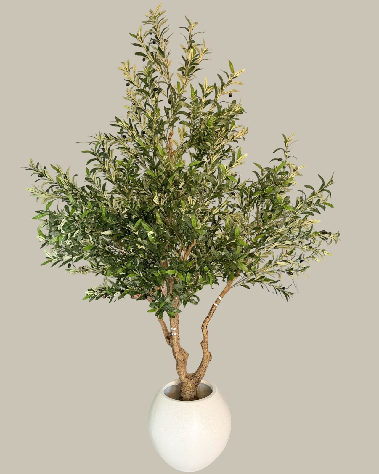Faux Mature Olive Tree 2.4M