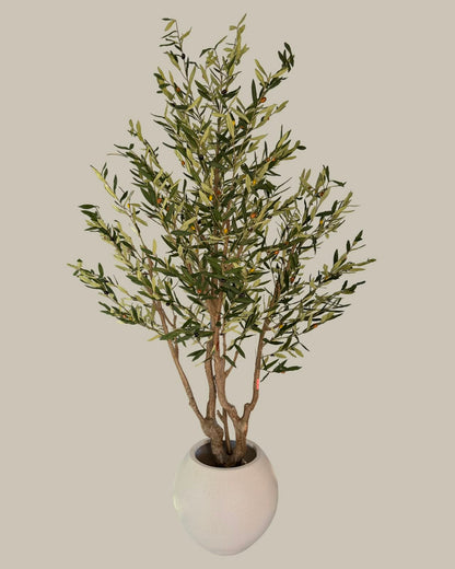 Faux Luxe Olive Tree 220CM