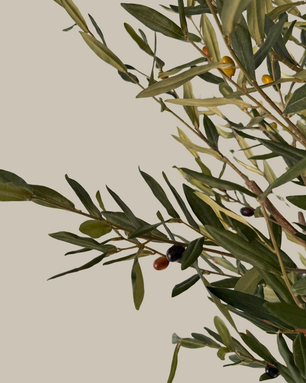 Faux Luxe Olive Tree 220CM