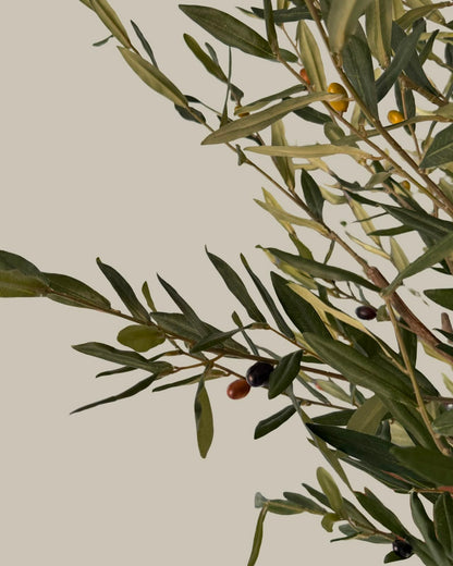 Faux Luxe Olive Tree 220CM