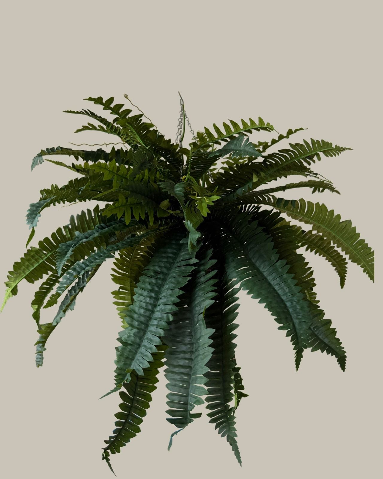 Faux Ferns with Rattan Hanging Basket (Set of 2)