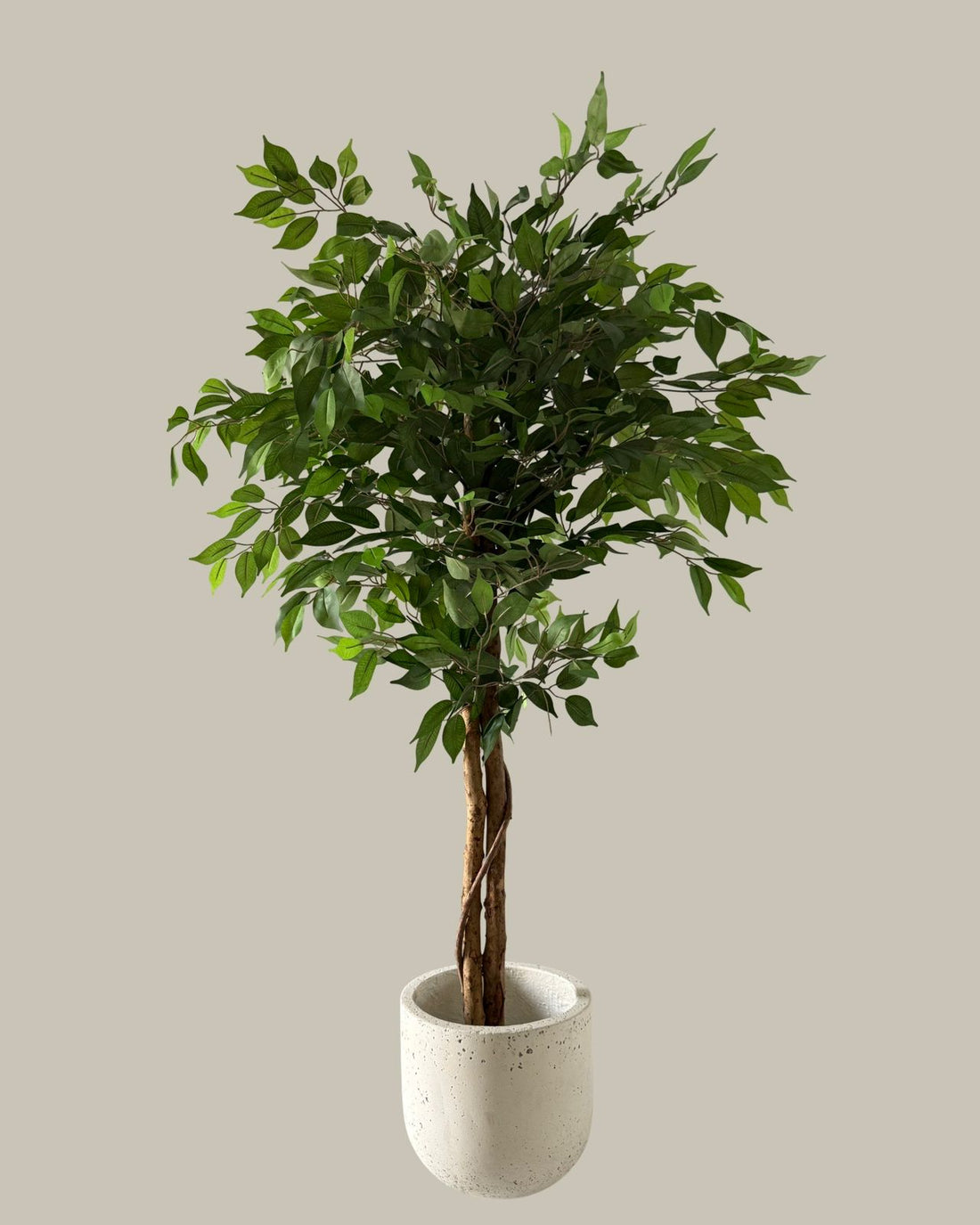 Faux Luxe Ficus Tree 160CM