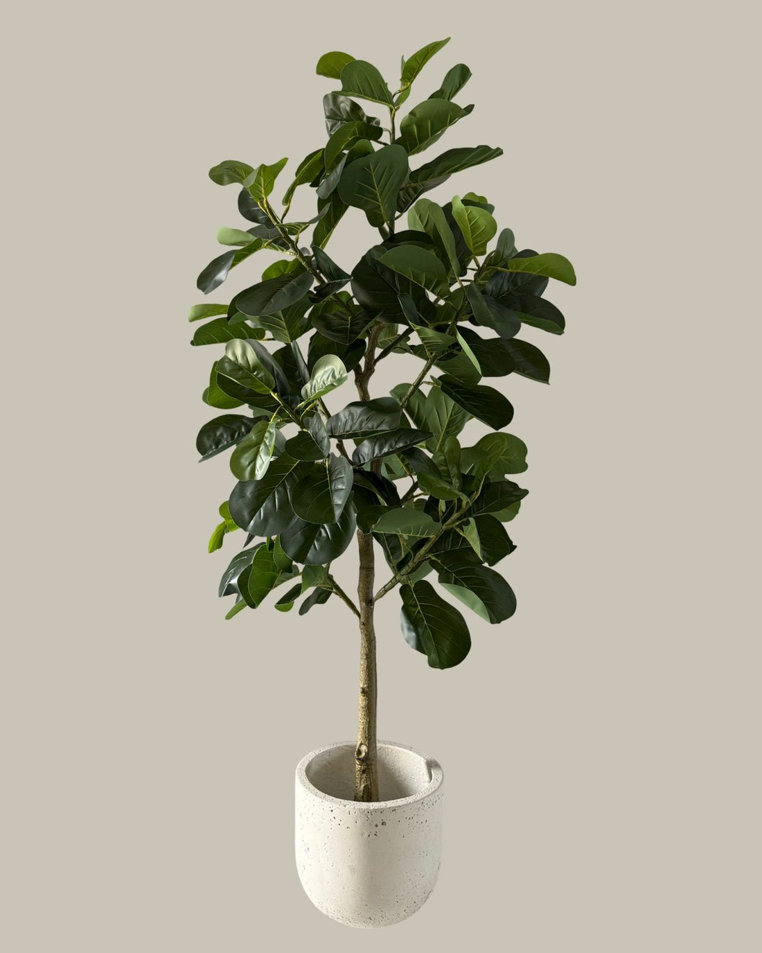 Faux Potted Fiddle Fig Leaf Tree 160CM