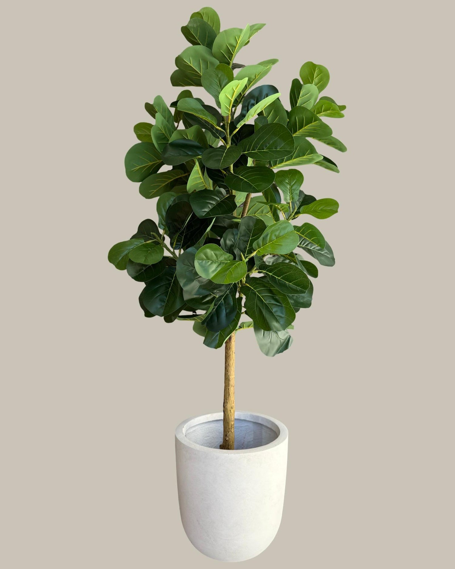 Faux Potted Fiddle Fig Leaf Tree 180CM