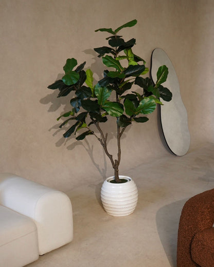 Faux Multi Branch Fiddle Fig Leaf Tree 180CM