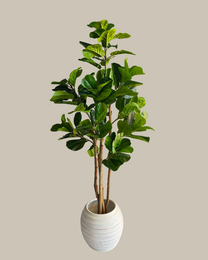 Faux Fiddle Leaf Fig Tree with Real Wood Trunk 180CM