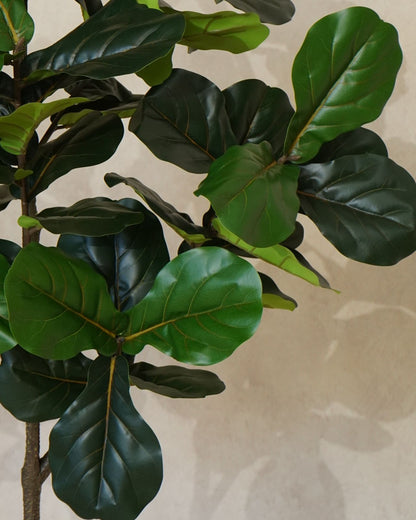 Faux Multi Branch Fiddle Fig Leaf Tree 180CM