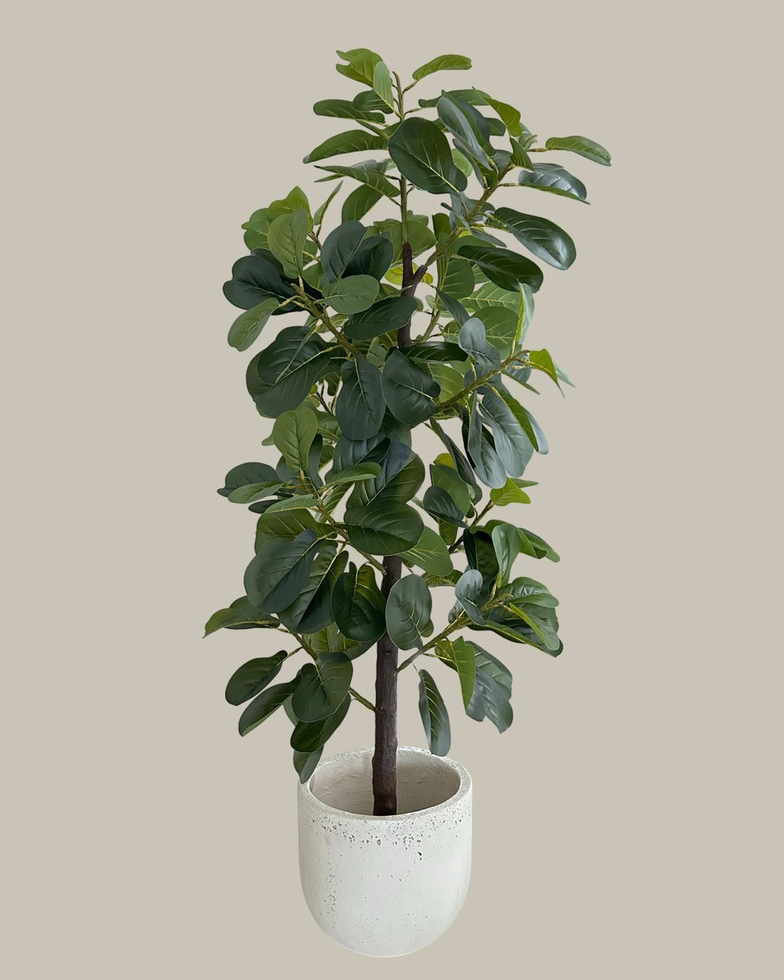 Artificial Fiddle Leaf Fig Tree 180CM.
