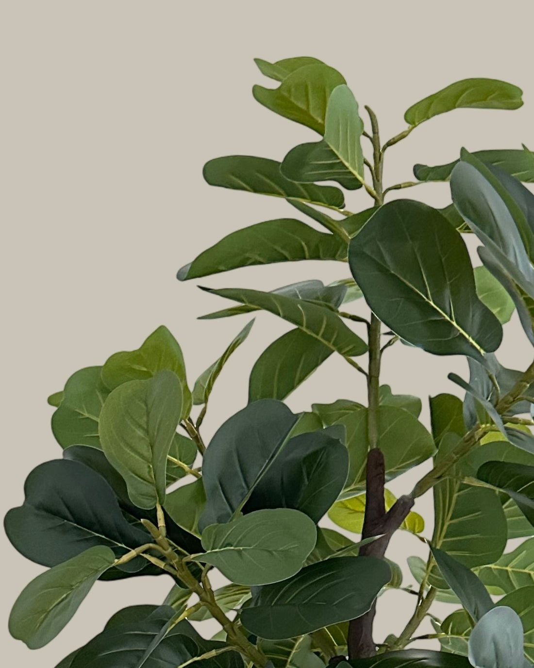 Artificial Fiddle Leaf Fig Tree 180CM.