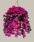 Faux UV-Protected Pink & Purple Bougainvillea Hanging Basket
