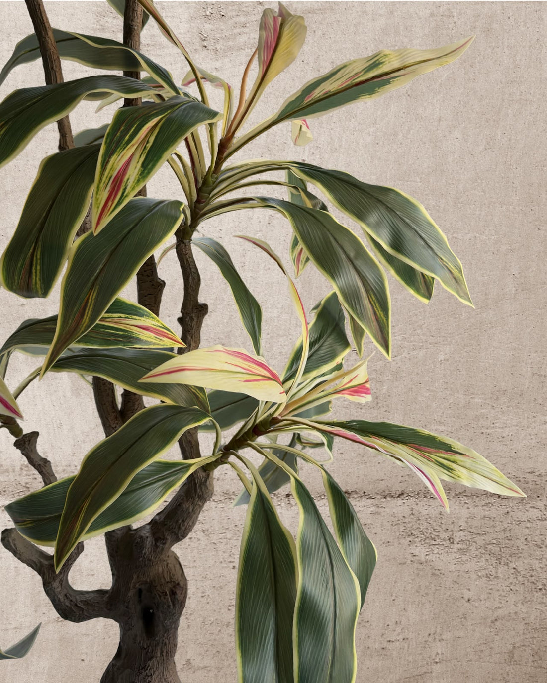 Faux Brazilian Iron Wood Plant 180CM
