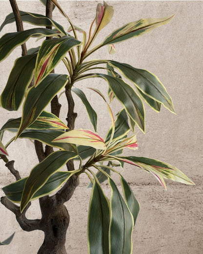Faux Brazilian Iron Wood Plant 180CM