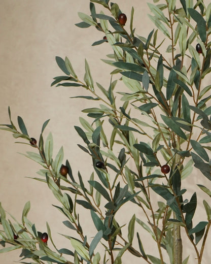 Faux Luxe Olive Tree 180CM
