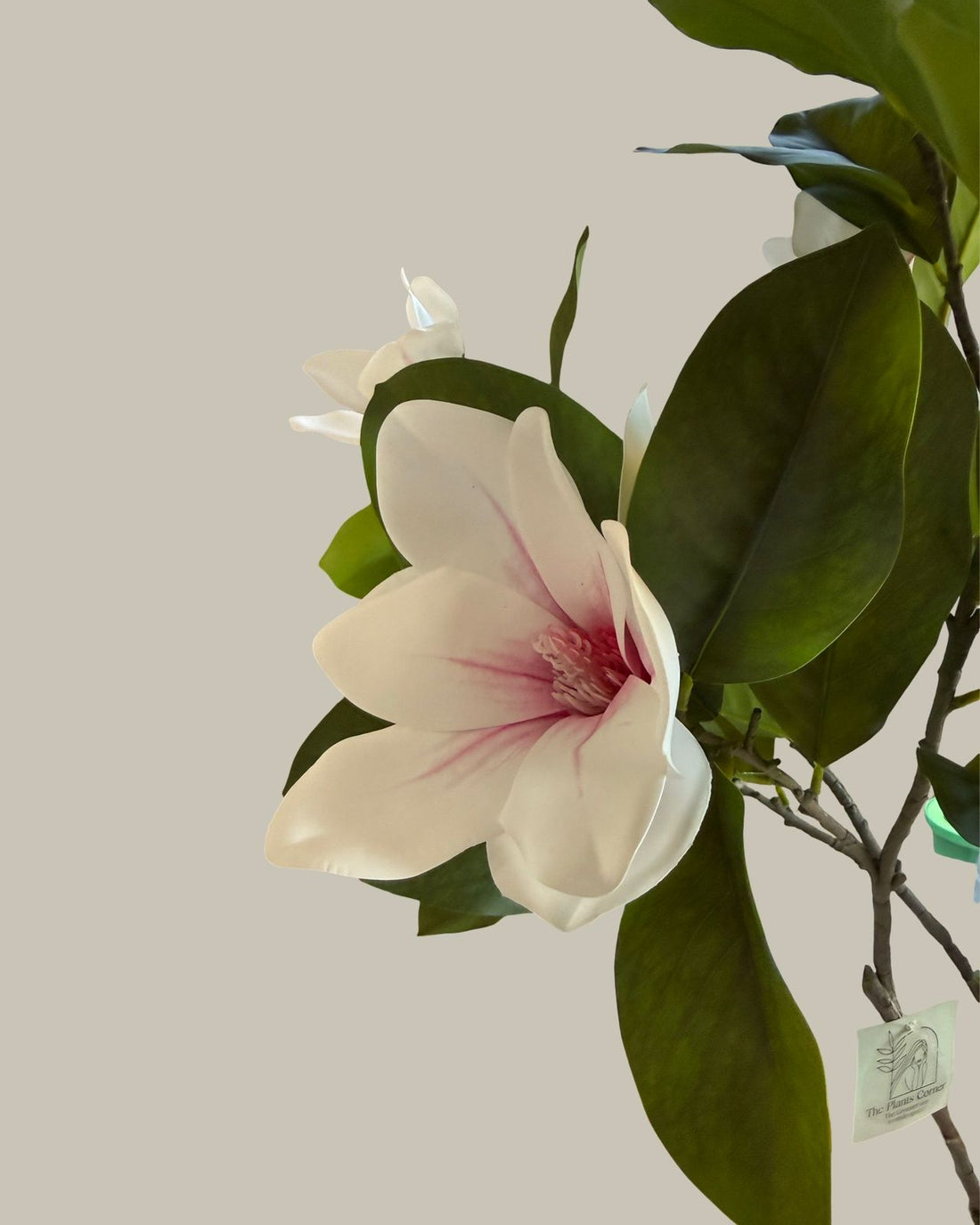 Faux Magnolia Tree 170CM