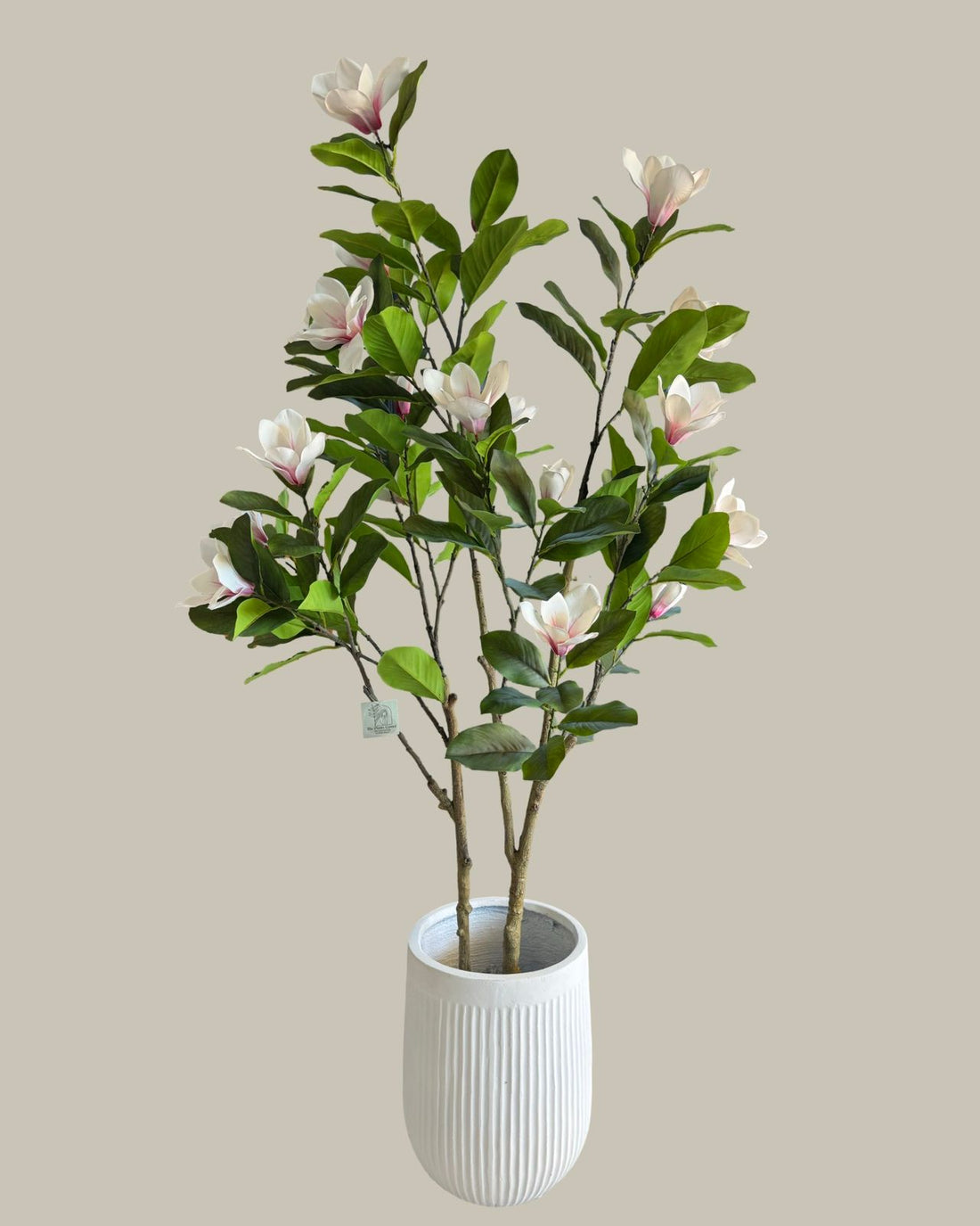 Faux Magnolia Tree 170CM