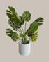 Faux Monstera Deliciosa 120cm