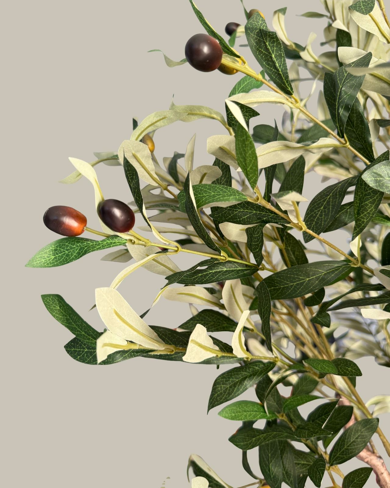 Faux Giant Multi Branch Olive Tree 1.8M
