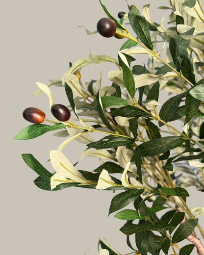 Faux Giant Multi Branch Olive Tree 1.8M