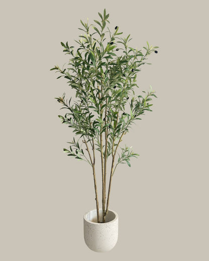 Faux Tall Multi Branch Olive Tree 180CM
