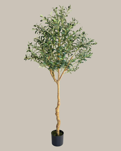Artificial Olive Tree 180CM