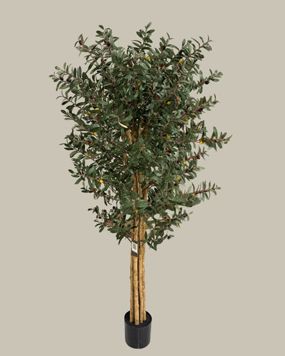 Faux Giant Real Wood Trunk Olive Tree 180CM