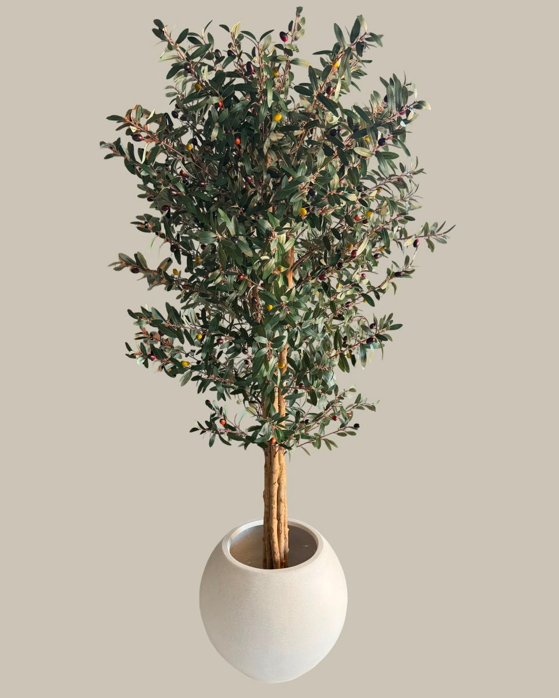 Faux Giant Real Wood Trunk Olive Tree 180CM