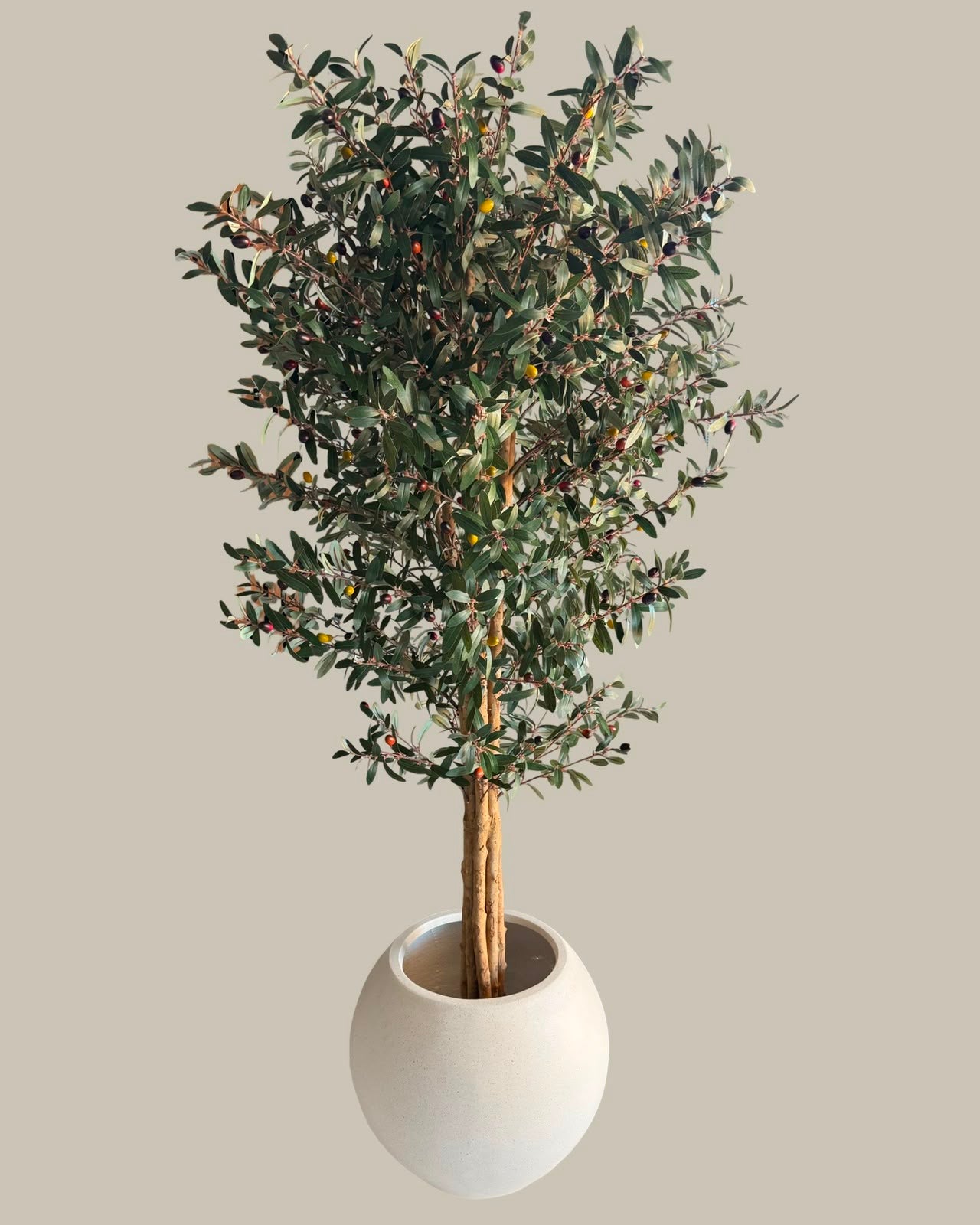 Faux Giant Real Wood Trunk Olive Tree 180CM