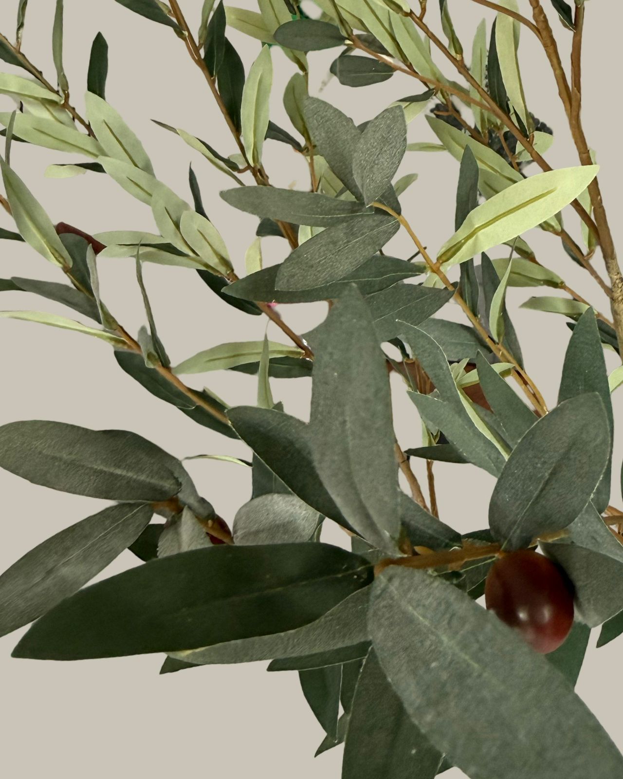 Faux Luxe Olive Tree 180CM