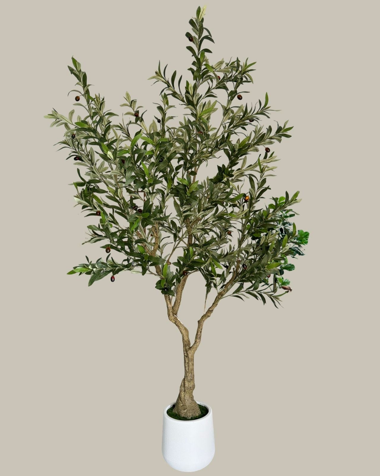 Faux Majestic Olive Tree 210CM