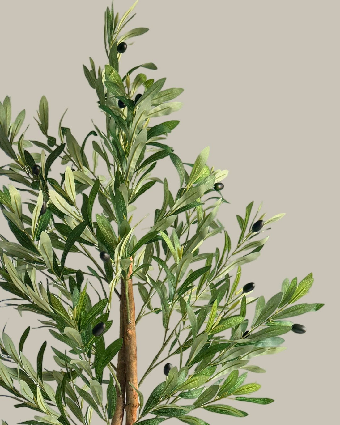 Artificial Olive Tree with Real Wood Trunk 160CM