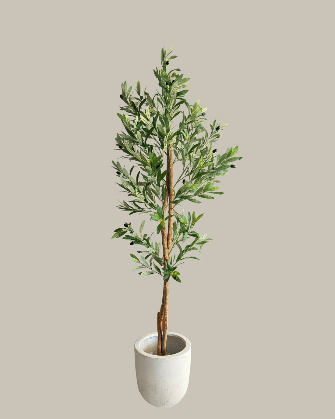 Artificial Olive Tree with Real Wood Trunk 160CM