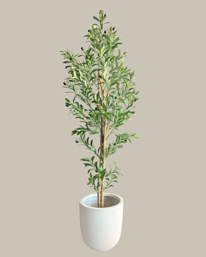 Artificial Olive Tree with Real Wood Trunk 180CM