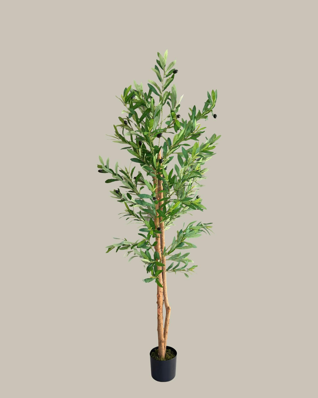 Artificial Olive Tree with Real Wood Trunk 160CM