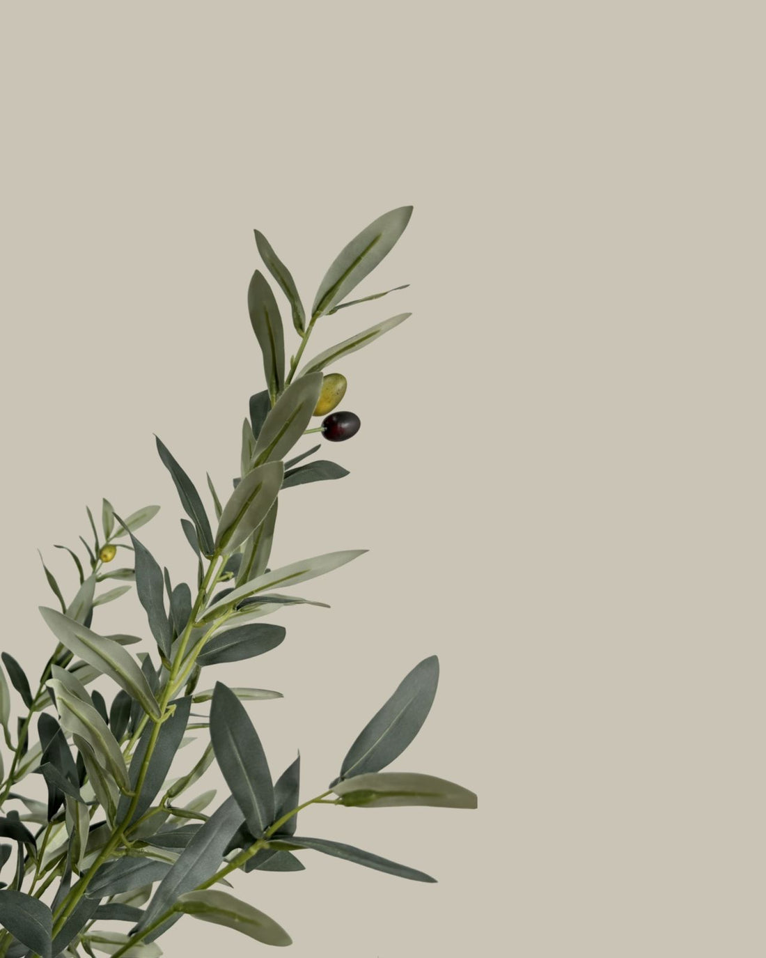 Premium Faux Olive Tree 160CM