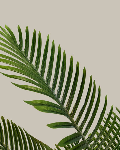 Artificial Palm Tree 160CM