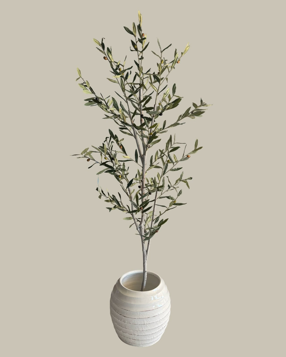 Faux Slim Olive Tree with Real Wood Trunk 180CM